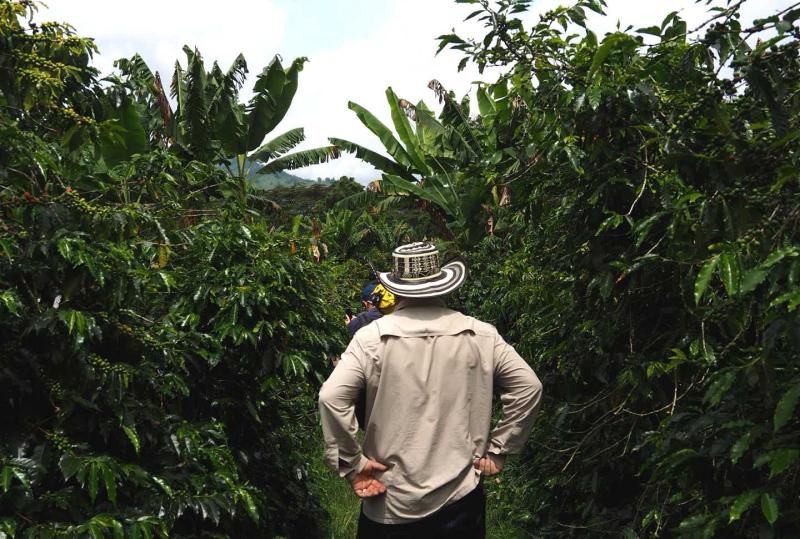 Au cœur d'une Colombie encore préservée : nos endroits secrets