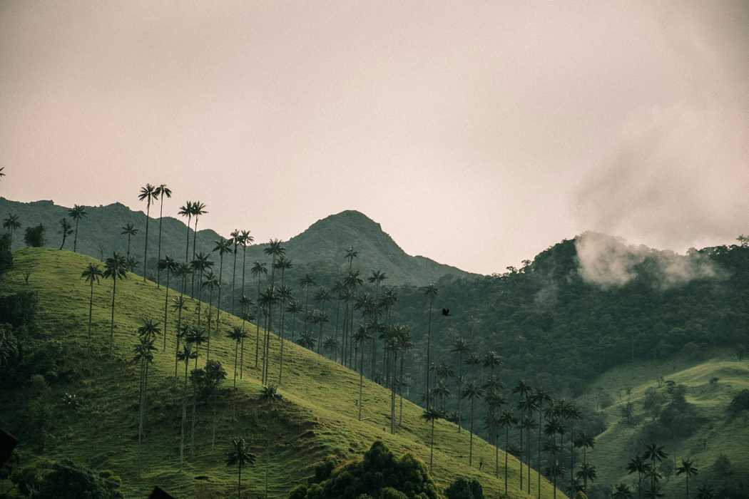 david-restrepo-omJtNsCi5gk-unsplash.jpg