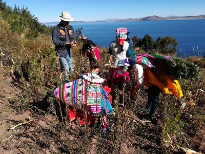 Jour 8 – Balade en bateau à voile et coucher de soleil sur le Lac Titicaca
