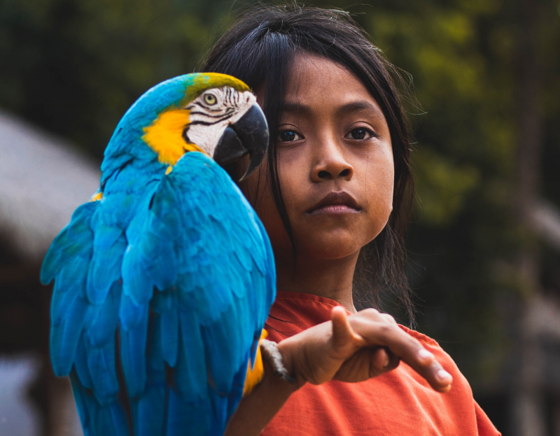 L'essentiel du sud du Pérou et extension en Amazonie 