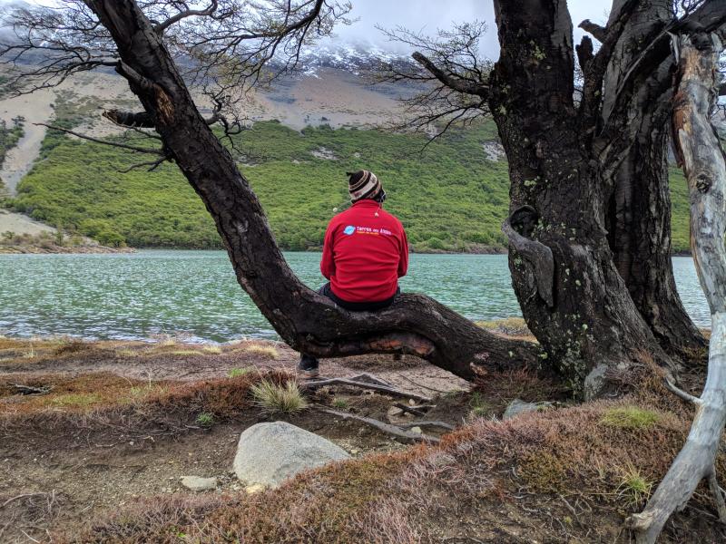 Voyage au pays des grands espaces : la Patagonie des glaciers à la Terre de Feu